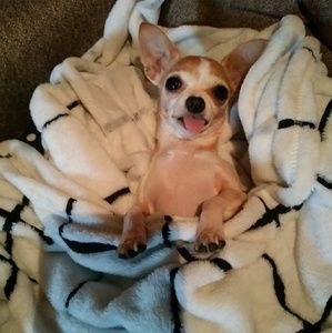 Meet your Posher, Jenna